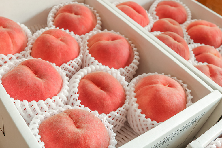 鮮やかな桃色に色付いた、愛らしい「白桃」