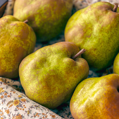 収穫後、じっくりと追熟してお届け