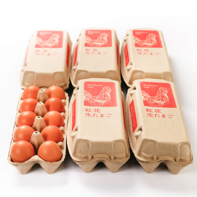 紅花生たまご 60個