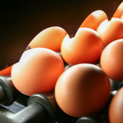 国際的な衛生管理手法「HACCP」に基づく設備を導入