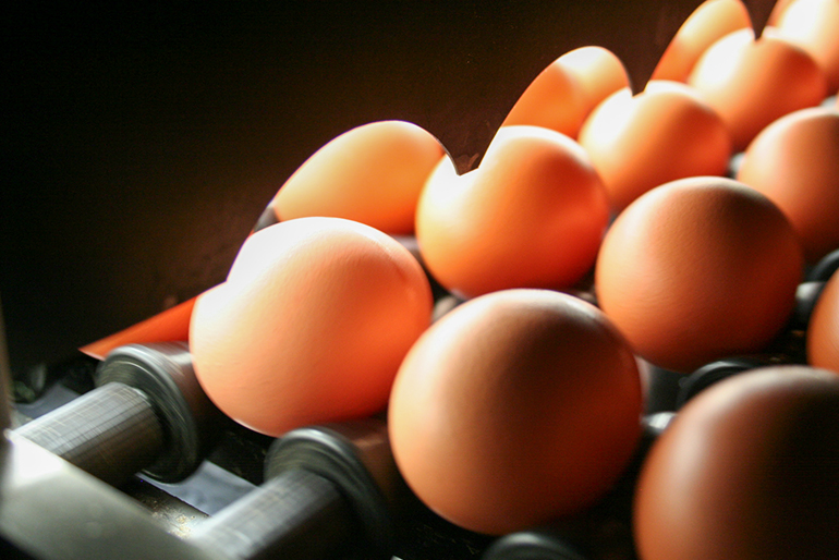 安全性と品質の向上への徹底した取り組み