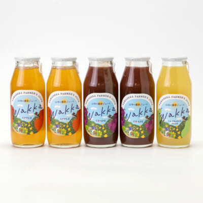 果汁100％ジュース「wakka」3種 計5本