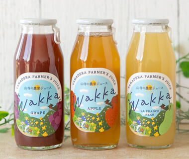 果汁100%ジュース「wakka」