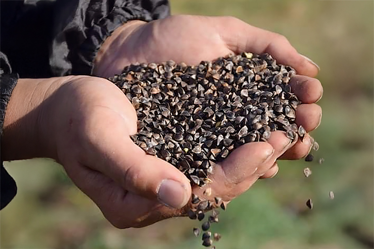 大切なのは、自然のリズムを読み取ること