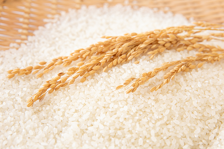 山形のブランド米「はえぬき」を使用