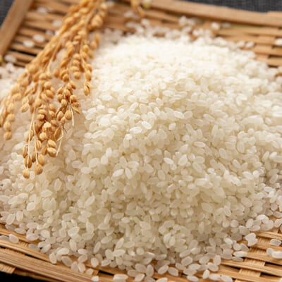 噛むほどにお米の甘みが広がる「コシヒカリ」