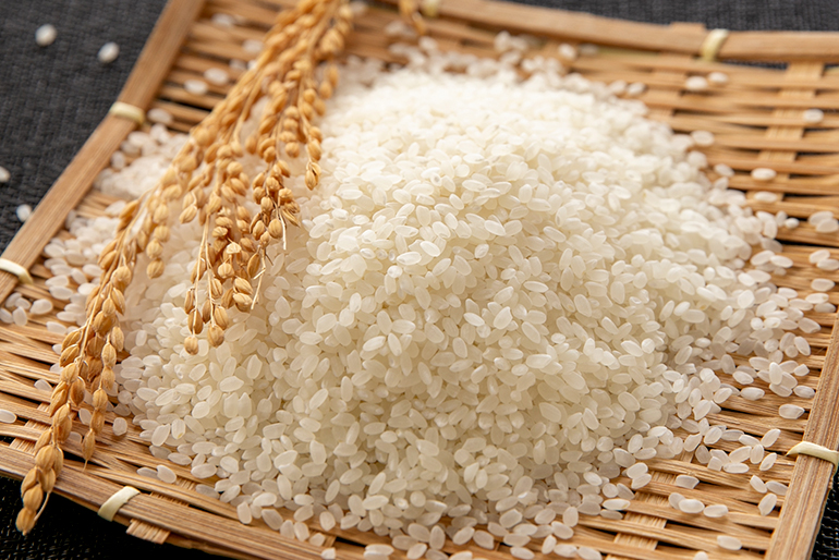噛むほどにお米の甘みが広がる「コシヒカリ」