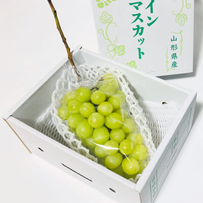 【贈答用】シャインマスカット 1房