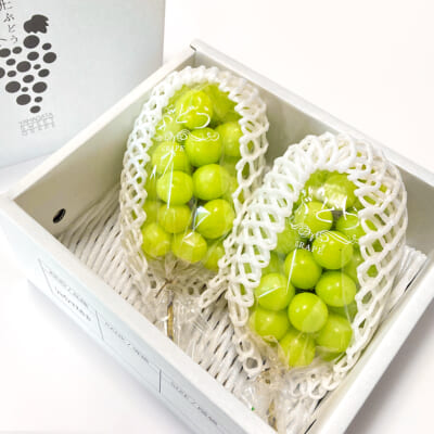 【贈答用】シャインマスカット 2房