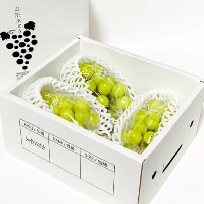 【贈答用】シャインマスカット 3房