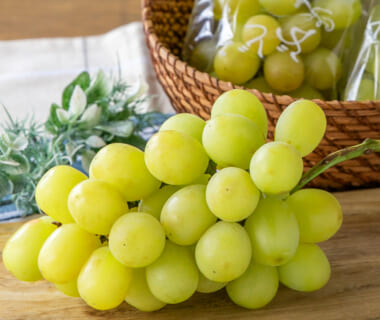 山形県産シャインマスカット（贈答用・家庭用）