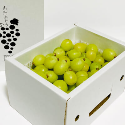 【家庭用】シャインマスカット バラ詰め 約1.5kg