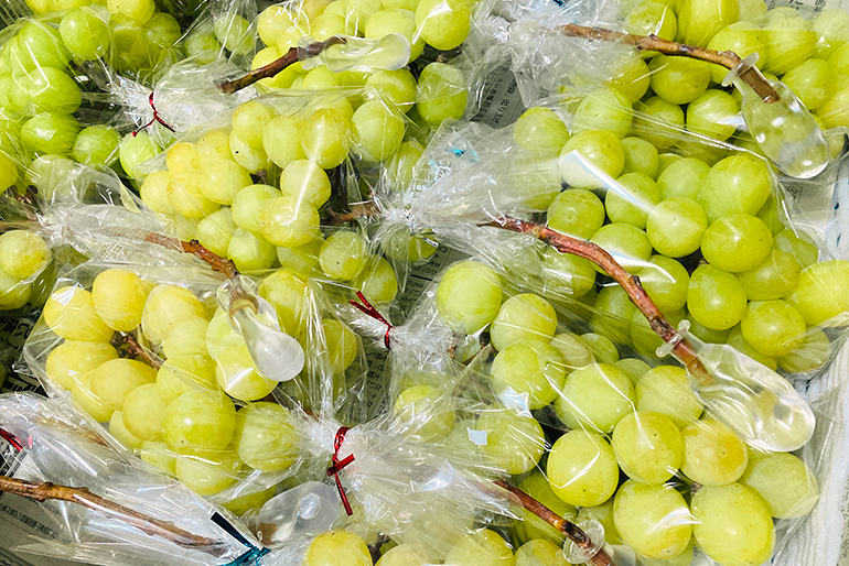 「冬眠」させて鮮度をキープ