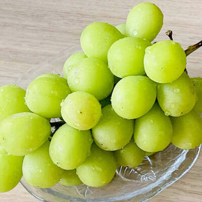 みずみずしく張りのあるシャインマスカットです！