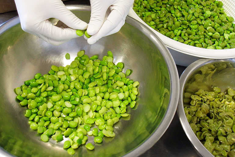 一粒ずつ、丁寧に下ごしらえします