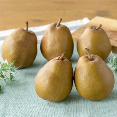 山形県産 ゴールド ラ・フランス（贈答用・家庭用）