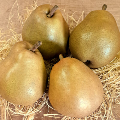 【家庭用】山形県産 ゴールド ラ・フランス 3kg