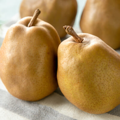 芳醇な香りと甘みが際立つ、幻の洋梨