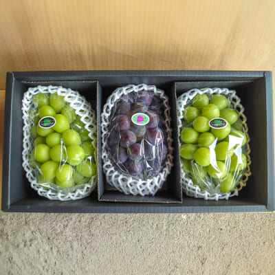 山形県産 ピオーネ・シャインマスカット 1.8kg