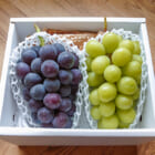 山形県産 ピオーネ・シャインマスカット
