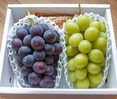 予約注文:山形県産 ピオーネ・シャインマスカット