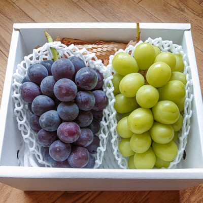 予約注文：山形県産 ピオーネ・シャインマスカット