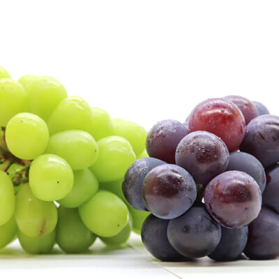 人気品種を一度に楽しめるセットです