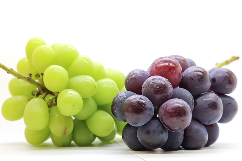 人気品種を一度に楽しめるセットです