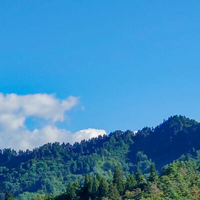 国内有数のぶどう産地・高畠町