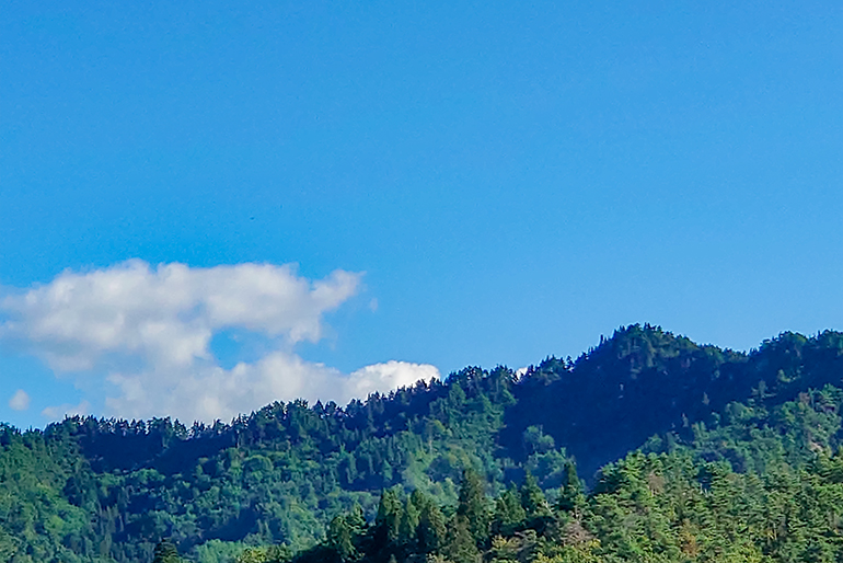 国内有数のぶどう産地・高畠町