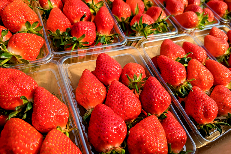 甘みと酸味のバランスが抜群な「おとめ心」