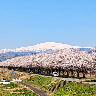 甘くてみずみずしいいちごを育む、豊かな自然環境