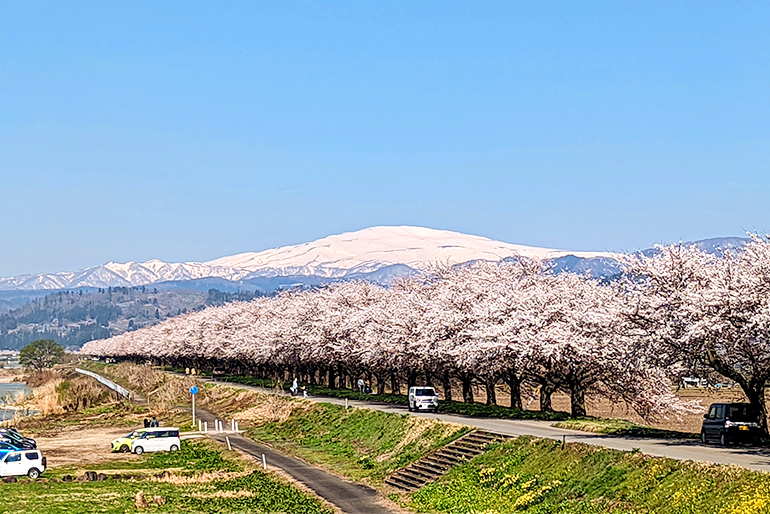 甘くてみずみずしいいちごを育む、豊かな自然環境