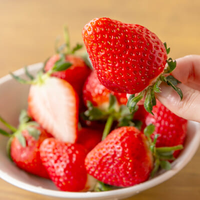 朝収穫したばかりの新鮮ないちごをお届け！