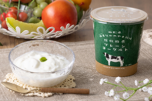 2. 放牧酪農プレーンヨーグルト