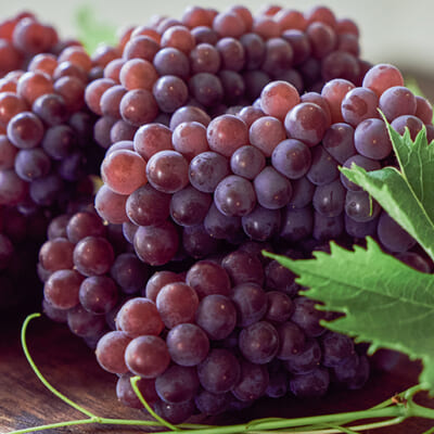 鮮度にこだわった朝採りデラウェア