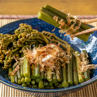 シャキシャキ食感がクセになる