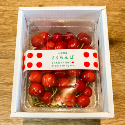 山形県産さくらんぼ  佐藤錦 パック 500g