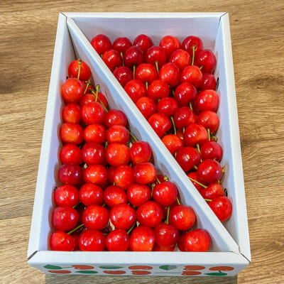 山形県産さくらんぼ 紅秀峰 バラ 1kg