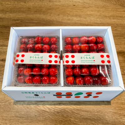山形県産さくらんぼ やまがた紅王 パック 1kg