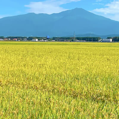 山形県産米の美味しさをそのまま食卓へ