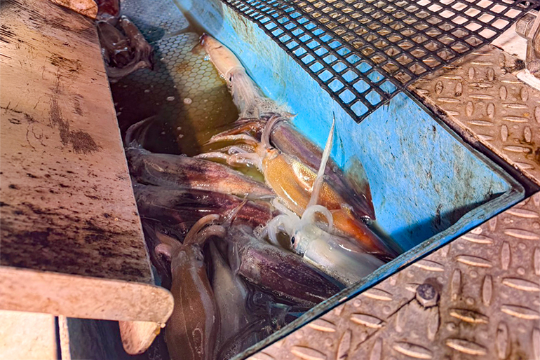 徹底した地元食材へのこだわり