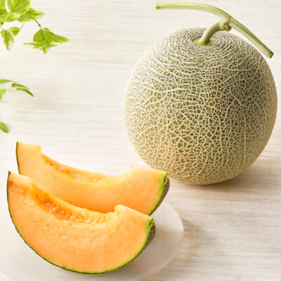 山形県産 赤肉メロン 1玉