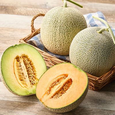 予約注文：山形県産メロン（赤肉・青肉）