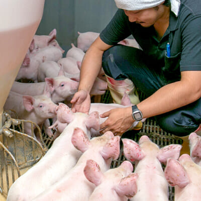 健やかな飼育と環境への優しい循環