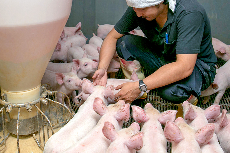健やかな飼育と環境への優しい循環