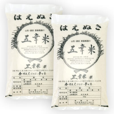 山形県産 はえぬき 精米10kg
