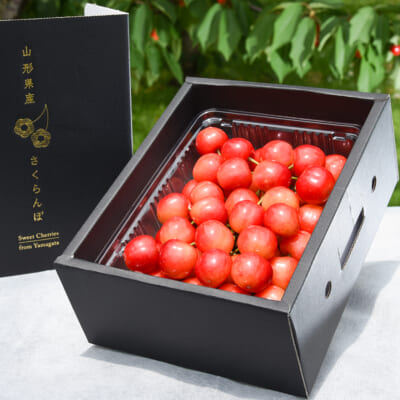 山形県産さくらんぼ 紅さやか（特秀）Lサイズ以上 500g