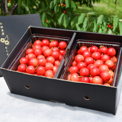山形県産さくらんぼ 紅さやか（特秀）Lサイズ以上 1kg