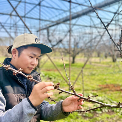 細やかな目配りがおいしさを左右します